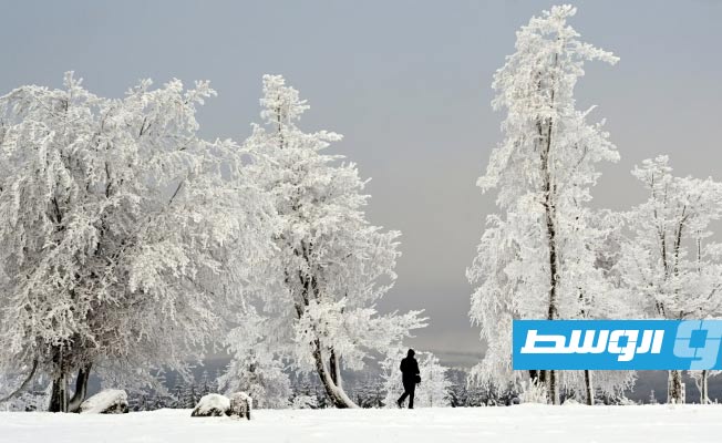 رجل يسير قرب أشجار غطتها الثلوج في جبل كاهلر أستن بالقرب من وينتربرغ، غرب ألمانيا، 1 ديسمبر 2023. (أ ف ب)