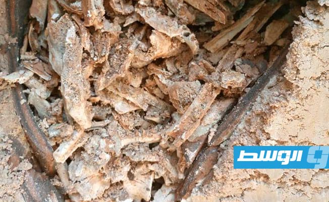 هياكل عظام بشرية مكتشفة في المقبرة الأثرية بزليتن، الأربعاء 21 يونيو 2023 (وزارة الداخلية بحكومة الوحدة الوطنية)