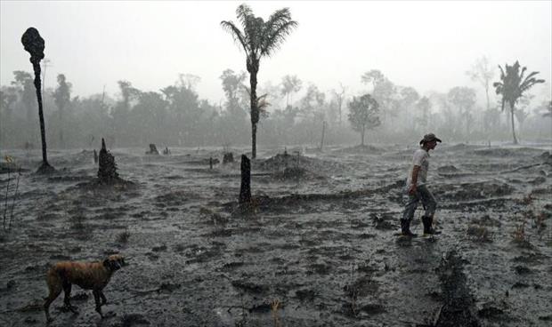 الأمازون خزان أوبئة وبؤرة محتملة لاختلالات بيئية كبرى