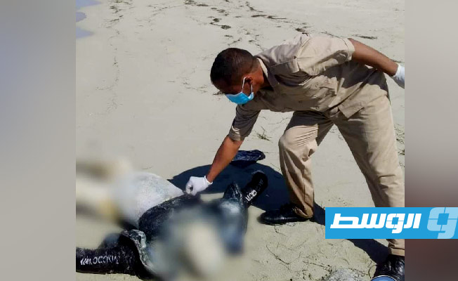 العثور على جثة مهاجر غير شرعي في ساحل رأس لانوف