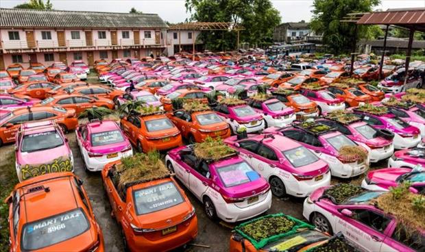 سيارات التاكسي في بانكوك تتحول إلى بساتين