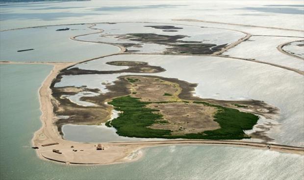 جزر صناعية لحماية التنوع الحيوي في هولندا