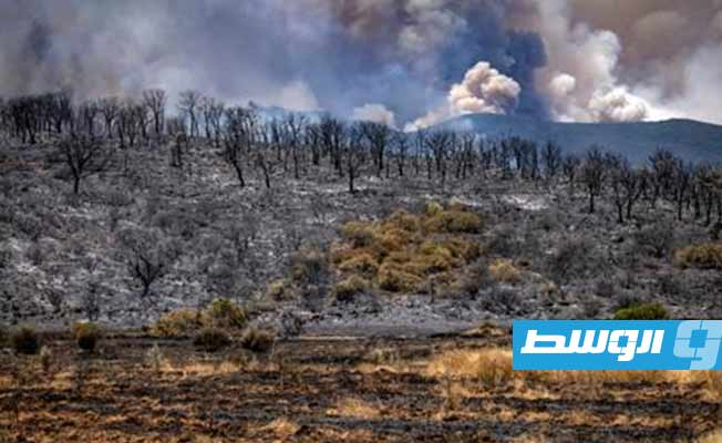 قتيل وإجلاء ألف عائلة بسبب حرائق الغابات في المغرب