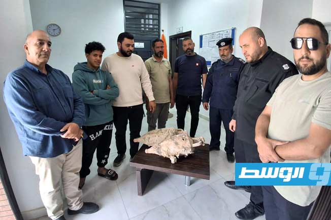 Fisherman finds two archaeological artifacts in Tripoli