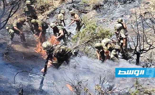 عناصر من الجيش الجزائري يشاركون في إخماد حرائق الغابات، 11 أغسطس. (وكالة الأنباء الجزائرية)