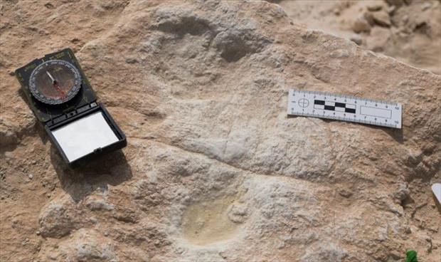 علماء يكتشفون آثار أقدام تعود إلى 120 ألف عام في السعودية