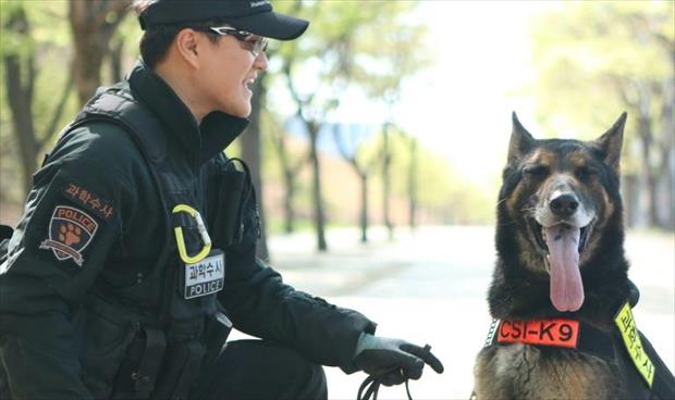 مراسم تكريم كلب بوليسي قضى أثناء الخدمة بكوريا الجنوبية