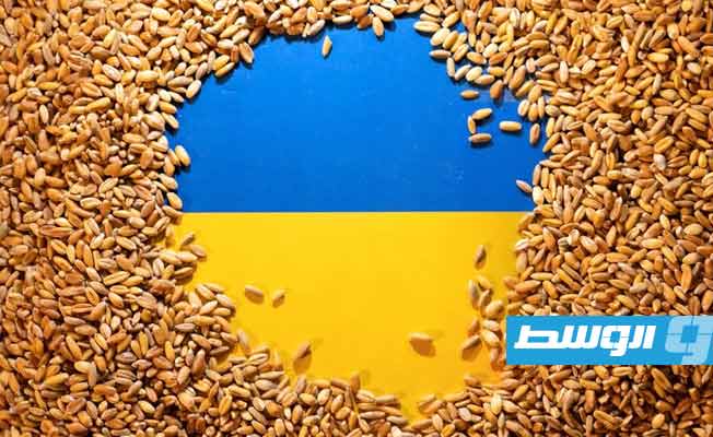 منتجون: أوكرانيا قد تستخدم ممرا جديدا عبر البحر الأسود لتصدير الحبوب