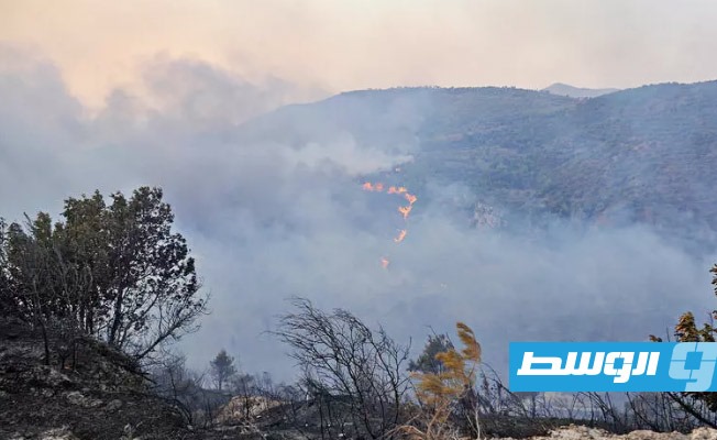 السيطرة على الحرائق في سورية ولبنان