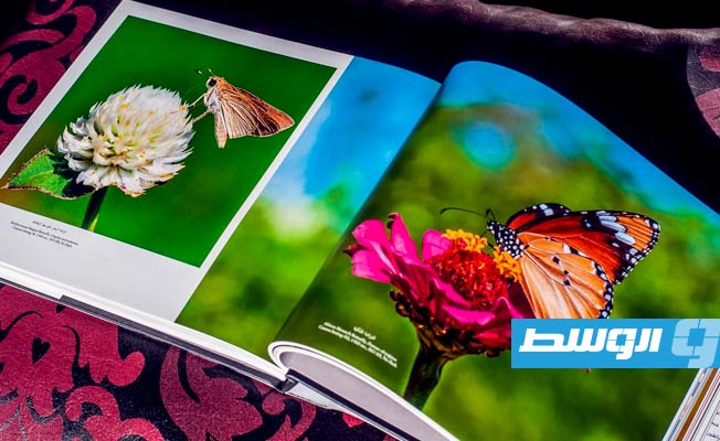 فنان الفوتوغراف الدكتور الطاهر الثابت يصدر مجلد «الفراشات» راصدا أنواعها (بوابة الوسط)