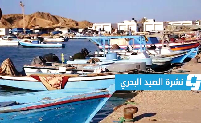 نشرة الصيد البحري على الساحل الليبي (السبت 25 نوفمبر 2023)