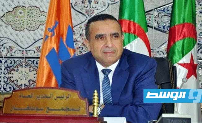 مسؤول جزائري: مشروع الربط الكهربائي المباشر مع ليبيا يحتاج تمويلا