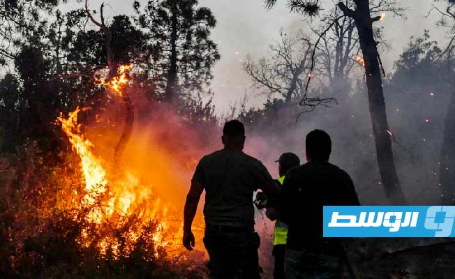 «الخارجية» تعزي في ضحايا حرائق الغابات بالجزائر
