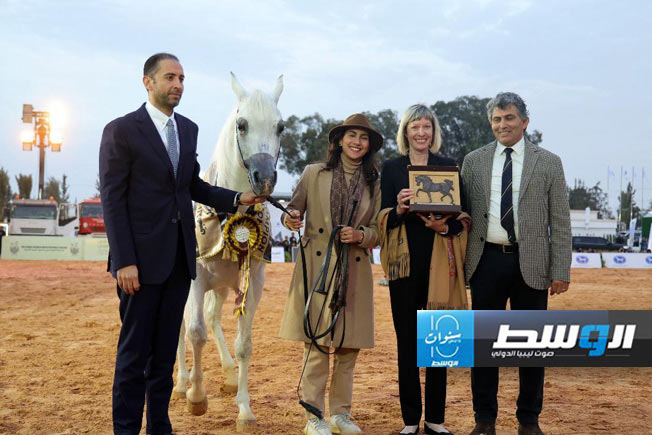 أحد المشاركين في البطولة الوطنية لجمال الخيول العربية الأصيلة (بطولة  الخبر) بقصر بن غشير في 3 مارس 2024 (أ ف ب)