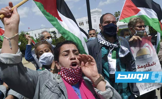 تظاهرة في تونس وتنديد رسمي بـ«العدوان على الأراضي الفلسطينية»