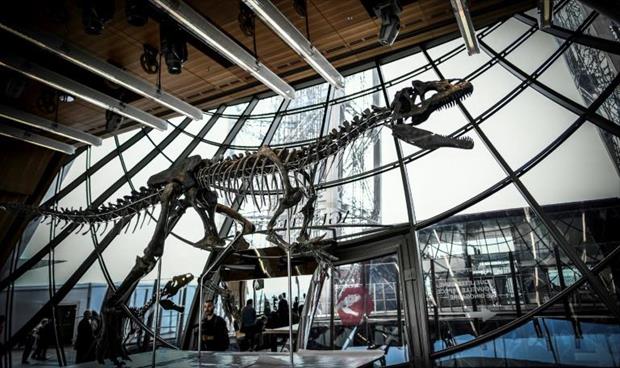 هيكل ديناصور يباع بمليوني يورو في مزاد باريسي