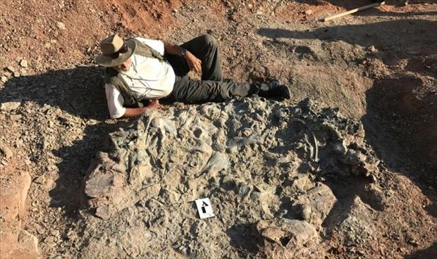 اكتشاف مقبرة ديناصورات تعود إلى 220 مليون سنة