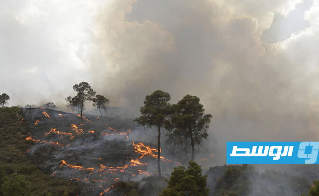 اندلاع الحرائق في مناطق متفرقة بالجزائر. (الإنترنت)