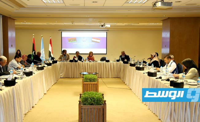 اجتماعات لجنة المسار الدستوري تتواصل في القاهرة لليوم السادس