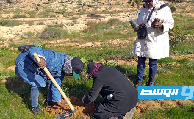مركز أوروبي يرصد حالة الزراعة في ليبيا.. تدني المحاصيل في طرابلس بسبب الجفاف