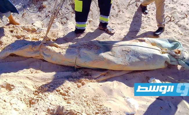 انتشال 6 جثث لمهاجرين في منطقة قصر الأخيار