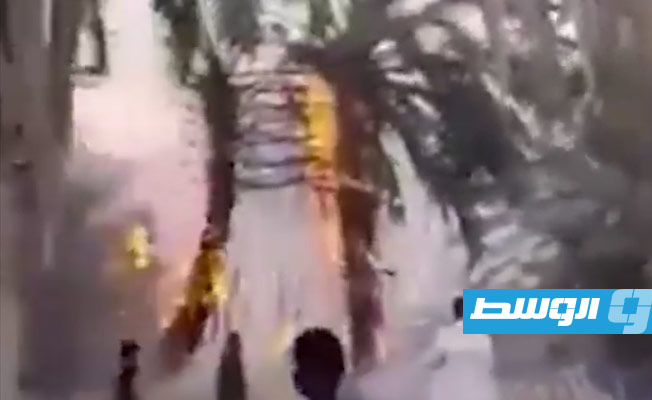 لقطة مثبتة من تسجيل مصور لحرائق الأشجار في زلة بالجنوب الليبي 28 مايو 2022. (فيسبوك)