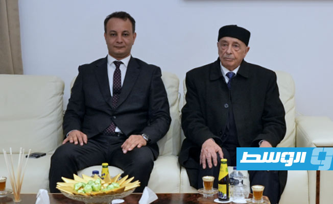 «النواب» ينقل تبعية 10 جهات إلى صندوق التنمية وإعادة إعمار ليبيا برئاسة بلقاسم حفتر