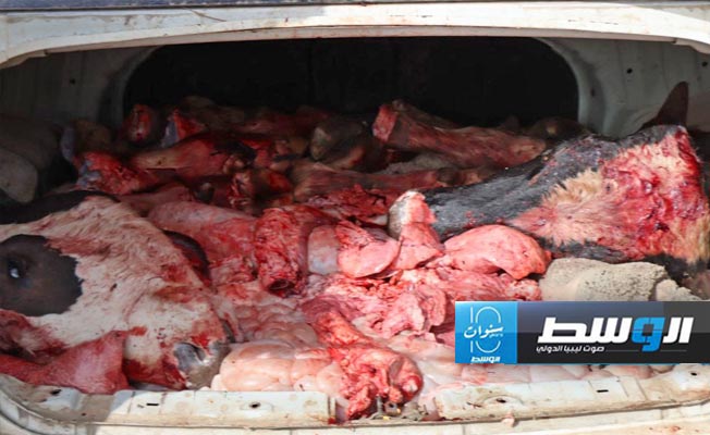 اللحوم المضبوطة داخل السيارة، 6 مارس 2024. (أمن طرابلس)