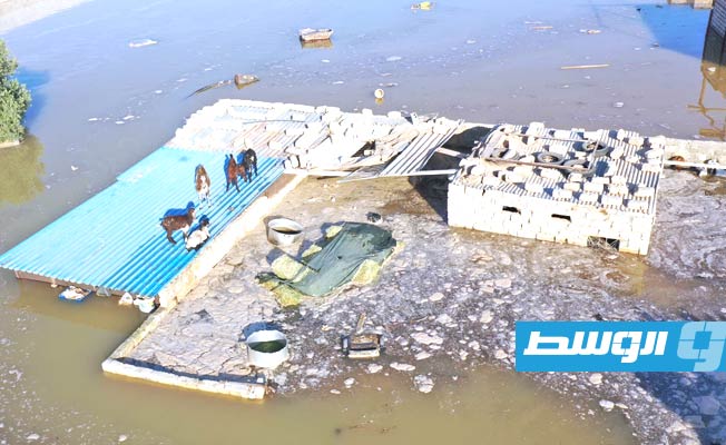 غرق مزارع ودخول المياه بعض المنازل جراء انفجار أنبوب النهر الصناعي قرب منطقة الزويتينة شمال شرق أجدابيا. (الإنترنت)