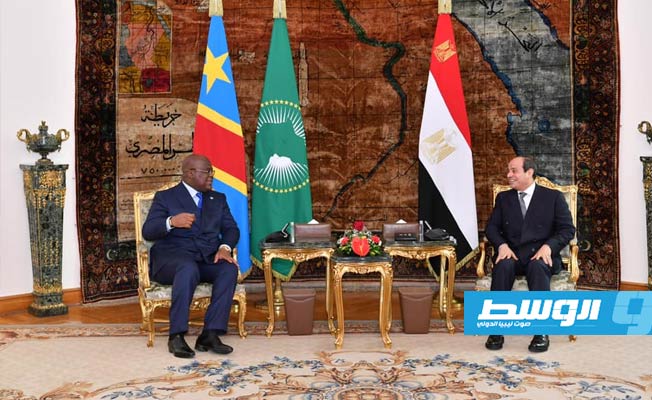 الرئيس المصري يبحث مع نظيره الكونغولي ملف سد النهضة بالقاهرة
