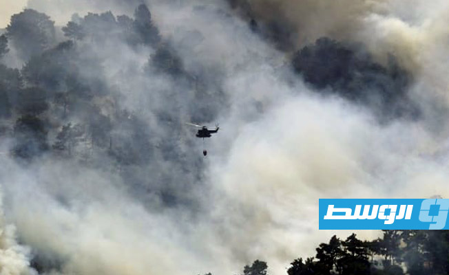 جهود مضنية لإخماد حريق اندلع في أكبر غابة صنوبر بري في لبنان