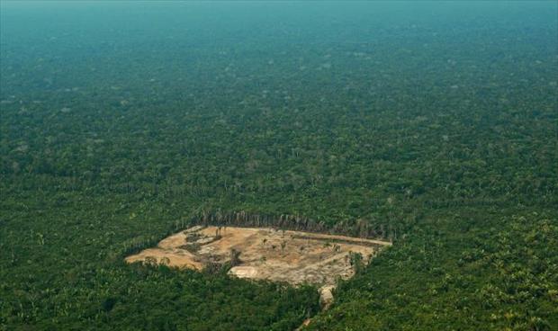 هجوم على الرئيس البرازيلي لتشكيكه بهول إزالة الغابات
