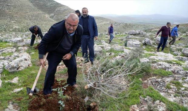 فلسطينيون يعيدون زرع أشجار اقتلعها الاحتلال في الضفة