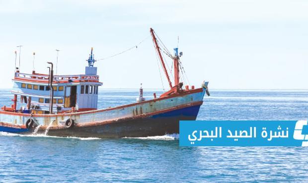 نشرة الصيـد البحري على ساحل ليبيا السبت (12 نوفمبر 2022)