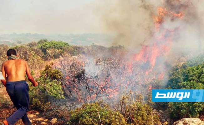 «الداخلية»: إخماد حريق نشب في غابة عين مارة بالجبل الأخضر (صور)