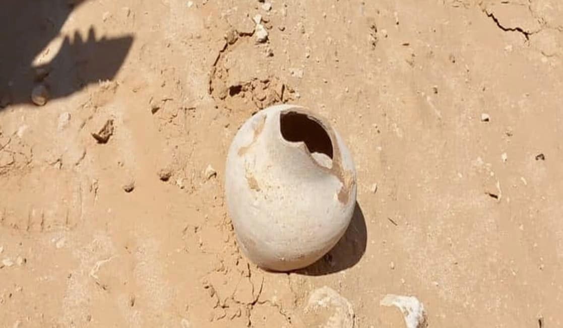 Citizen discovers archaeological site on his land in Sabratha
