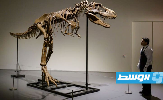 مجهول يشتري متحجر ديناصور بـ6 ملايين دولار