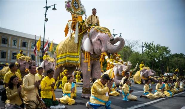 الفيلة في تايلاند ترحب بالملك الجديد