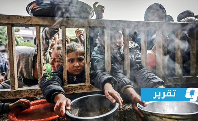تقرير «مخيف»: الأعلاف وذبح الأحصنة «بدائل» لإطعام أطفال غزة