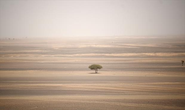 الصحراء الكبرى قد تؤمن الكهرباء للعالم كلّه