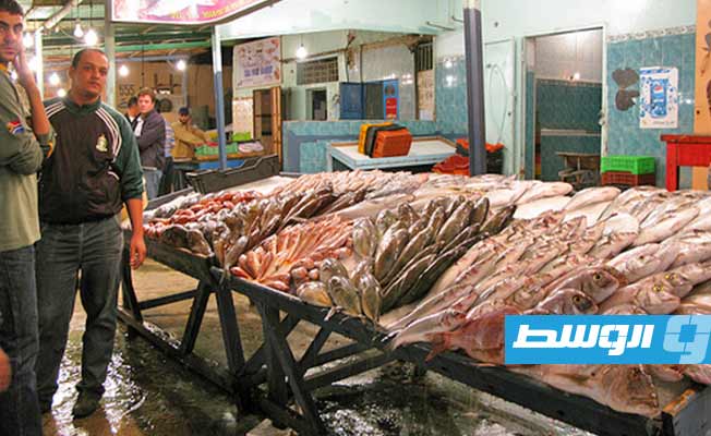 الحويج يصدر قرارا بمنع تصدير الأسماك بجميع أنواعها