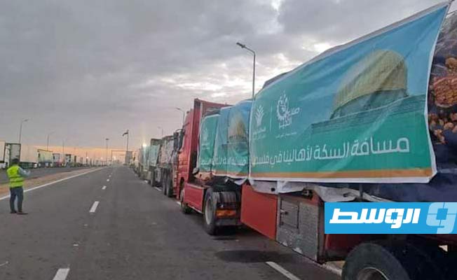 دخول 14 شاحنة مساعدات إنسانية لقطاع غزة عبر معبر رفح