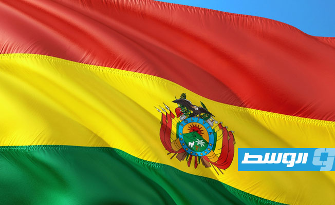 بوليفيا تؤيد دعوى جنوب أفريقيا ضد الاحتلال الإسرائيلي في محكمة العدل الدولية