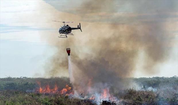 الجيش البرازيلي يكافح حرائق الأمازون بعد اشتعال النار في مئات المناطق