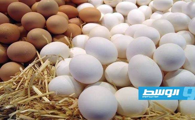 حملة لمقاطعة شراء البيض في بني وليد بعد ارتفاع أسعاره