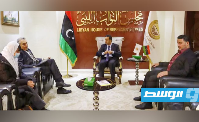 النويري يبحث مع السفير الإيطالي المستجدات السياسية في ليبيا