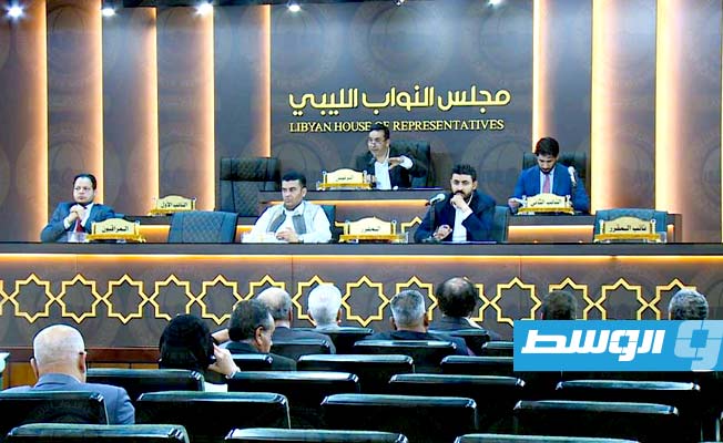 «النواب» يصوت بالإجماع على اختيار أحمد أبريدان رئيسا لمجلس التخطيط الوطني