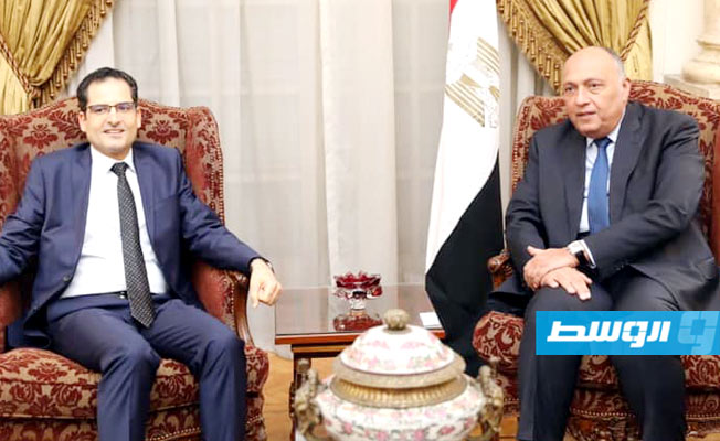 الأزمة الليبية على طاولة محادثات وزيري خارجية مصر وتونس