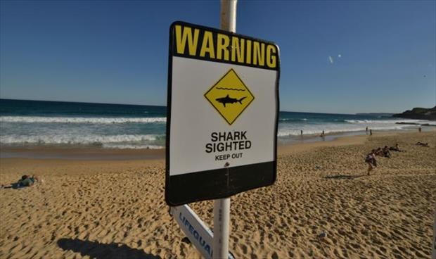 إصابة راكب أمواج بجروح إثر هجوم سمكة قرش في أستراليا
