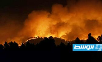 الحرائق تدمر الغابات في إسبانيا وترغم السكان على مغادرة منازلهم (شاهد)